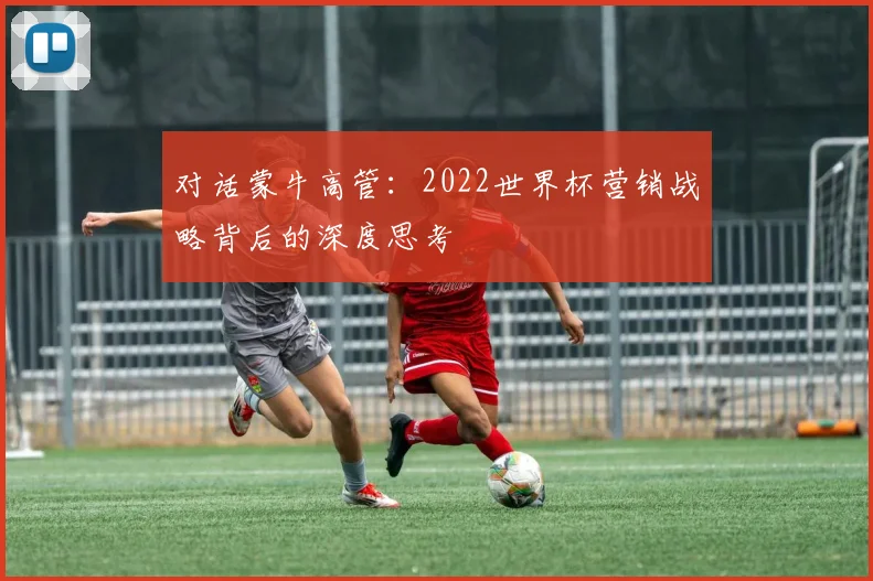 对话蒙牛高管：2022世界杯营销战略背后的深度思考