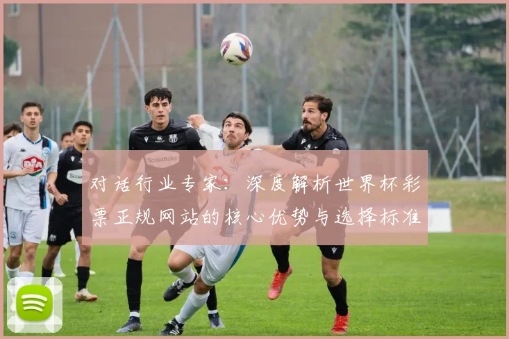 对话行业专家：深度解析世界杯彩票正规网站的核心优势与选择标准