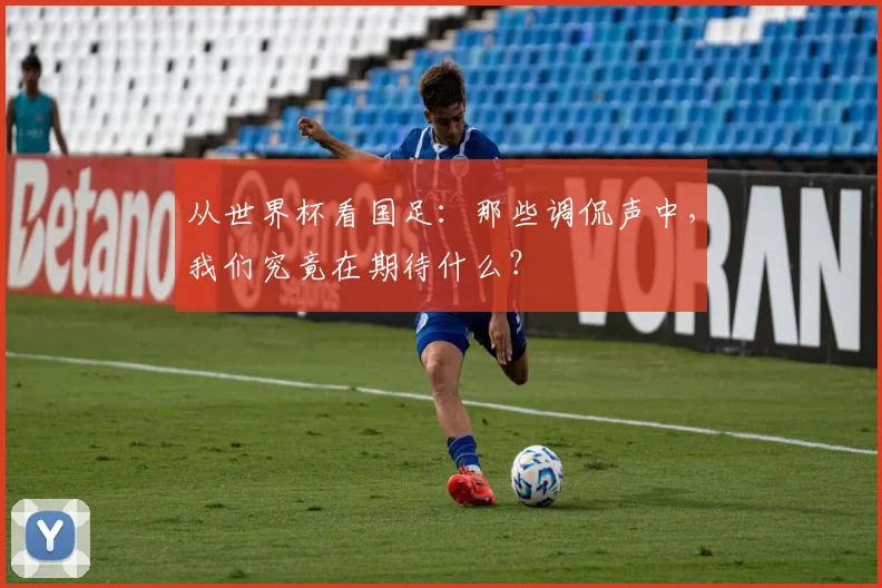 从世界杯看国足：那些调侃声中，我们究竟在期待什么？