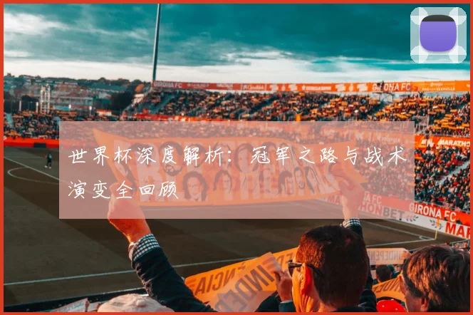 世界杯深度解析：冠军之路与战术演变全回顾